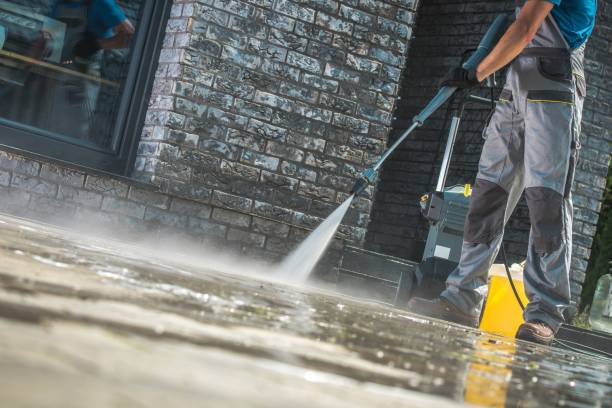 Best Residential Exterior Washing  in Patton Village, TX